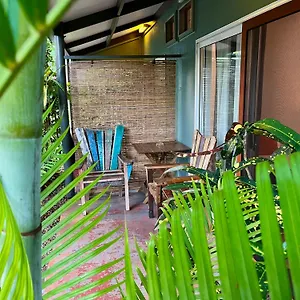 Rainforest *** Mission Beach
